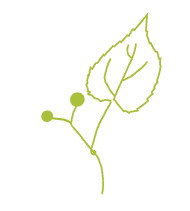 BFN Element